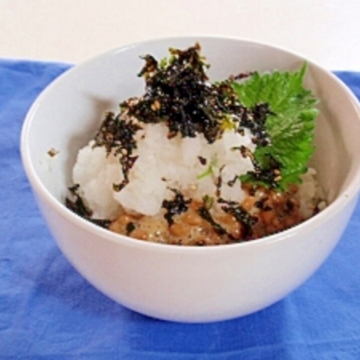 夏の朝からさっぱり栄養丼